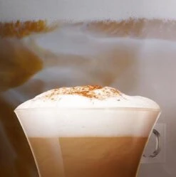 Nescafé Dolce Gusto Cappuccino Capsules - 90 Koffiecups 13 Nescafé Dolce Gusto Cappuccino Capsules - 90 Koffiecups -Koffie Drinken Winkel 1190x1200 2