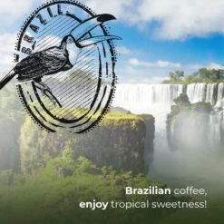 Soolong Enjoy Brazilie Nr4000 Koffiebonen Topacio Lungo - Speciality Koffie Arabica Medium Roast, Light Body Met Een Verfijnde Zacht Zoete Smaak. - Zak 250gram 15 Soolong Enjoy Brazilie Nr4000 Koffiebonen Topacio Lungo - Speciality Koffie Arabica Medium Roast, Light Body Met Een Verfijnde Zacht Zoete Smaak. - Zak 250gram -Koffie Drinken Winkel 1200x1200 136