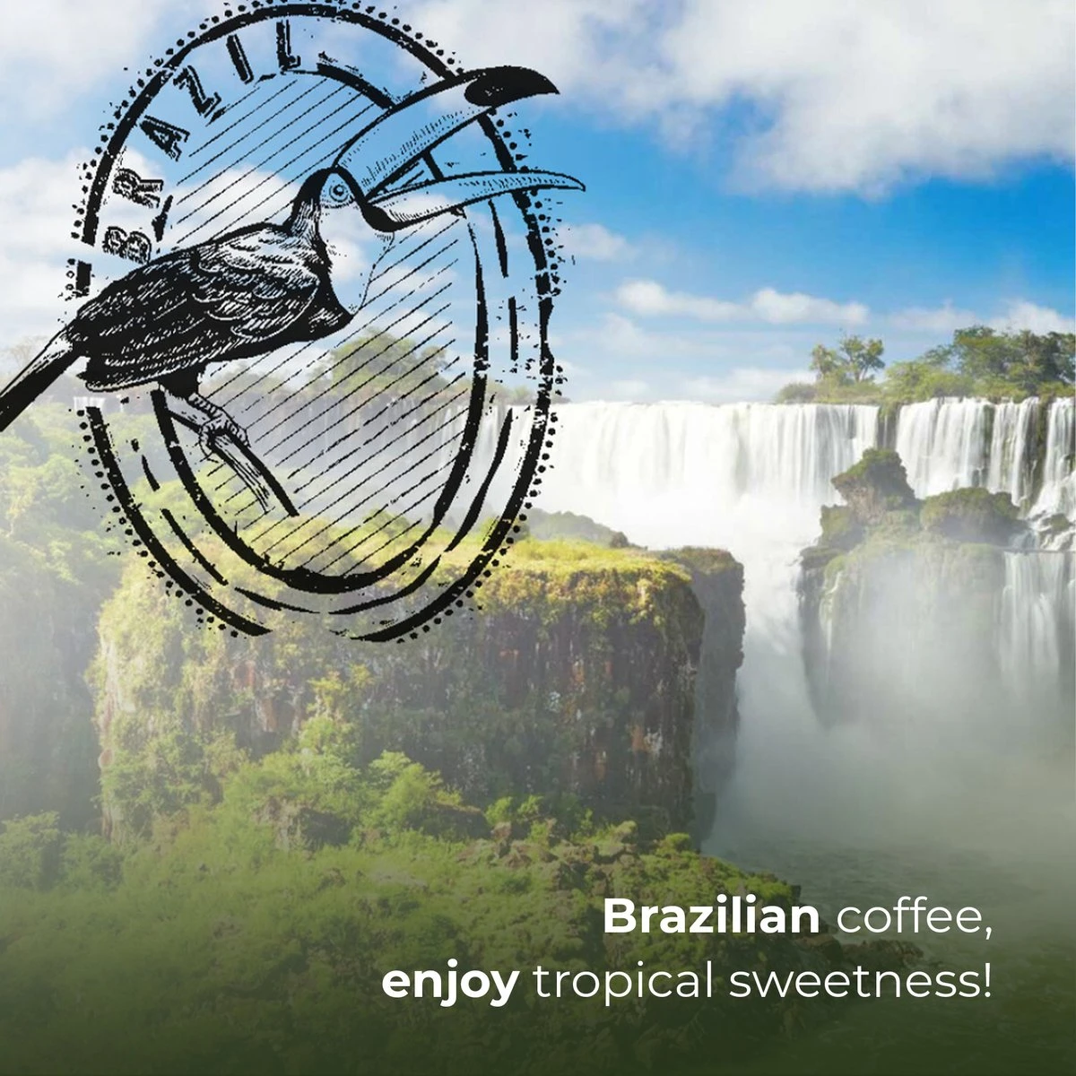 Soolong Enjoy Brazilie Nr4000 Koffiebonen Topacio Lungo - Speciality Koffie Arabica Medium Roast, Light Body Met Een Verfijnde Zacht Zoete Smaak. - Zak 250gram 7 Soolong Enjoy Brazilie Nr4000 Koffiebonen Topacio Lungo - Speciality Koffie Arabica Medium Roast, Light Body Met Een Verfijnde Zacht Zoete Smaak. - Zak 250gram - Afbeelding 7