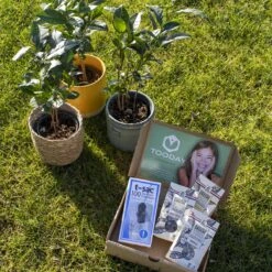 T-Sac Theefilters No.1 -Koffie Drinken Winkel 1200x1200 274